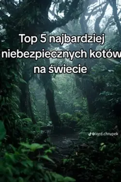 Koty