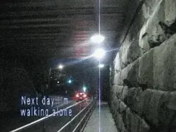 Next day I'm walking