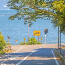 발렌타인데이 나도 고백하고싶다ㅠㅜ