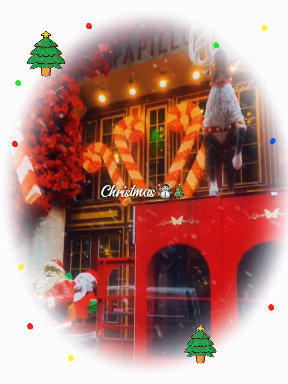 Christmas white