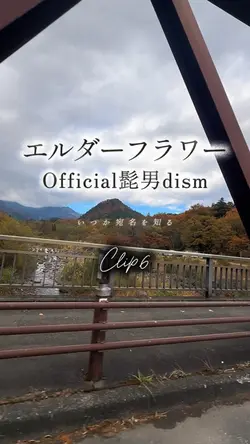 エルダーフラワー/Official髭男