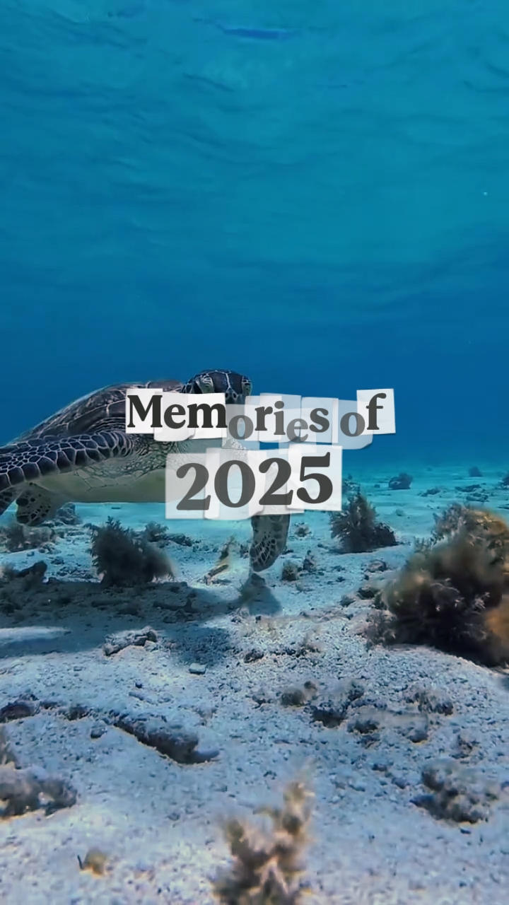 Souvenirs de 2025