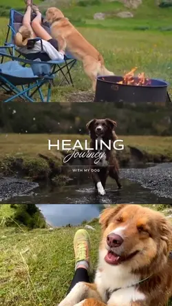 Healing with my dog