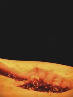 Sweaterweather slomo