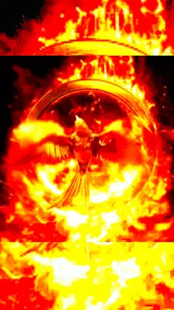 SpacephoenixTek🔥🔊