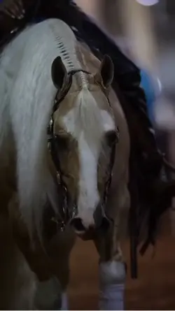 Slowmo Western
