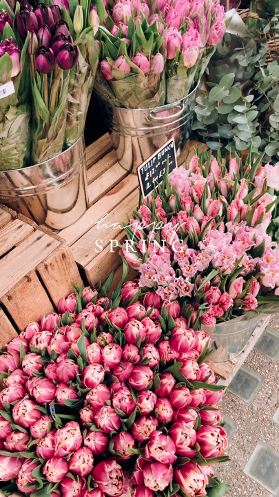 Happy Spring 🌸