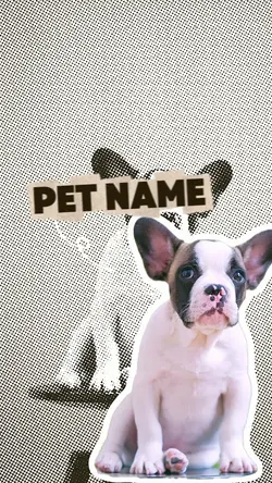 PET INTRO