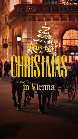 Christmas in Vienna
