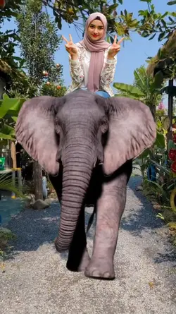 Naik gajah