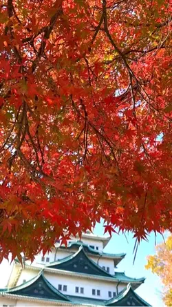 #autumn #nature