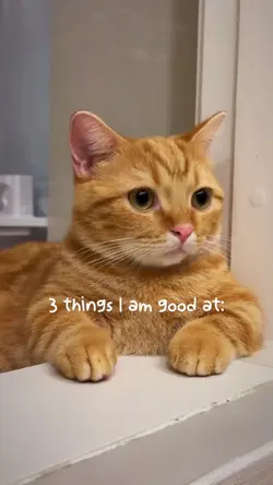 3 things cat