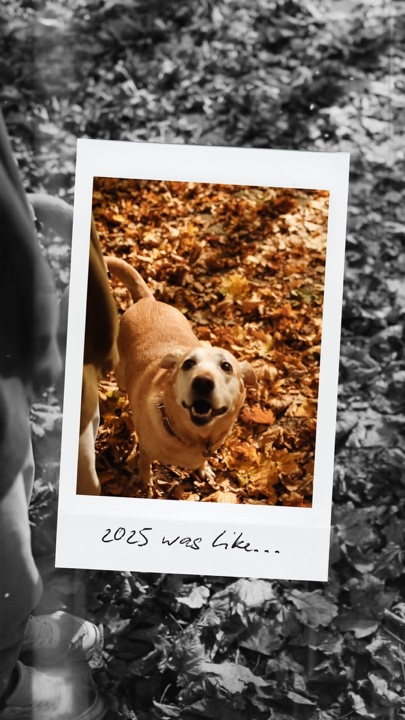Resumen de Polaroid 2025