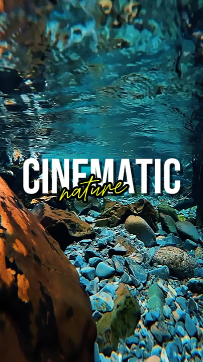 CINEMATIC NATURE