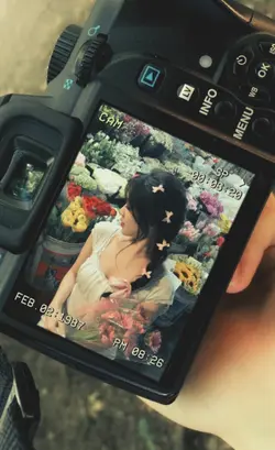 frame camera 