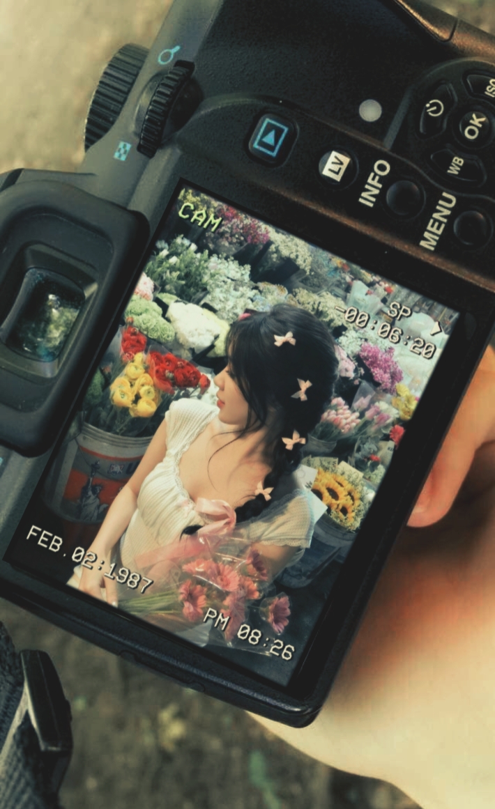 frame camera 