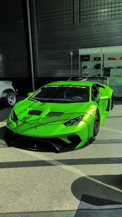 Animals Car Edit