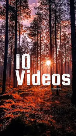 10 Videos