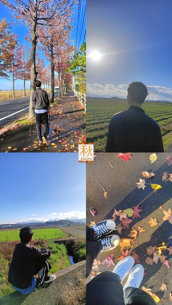 autumn 