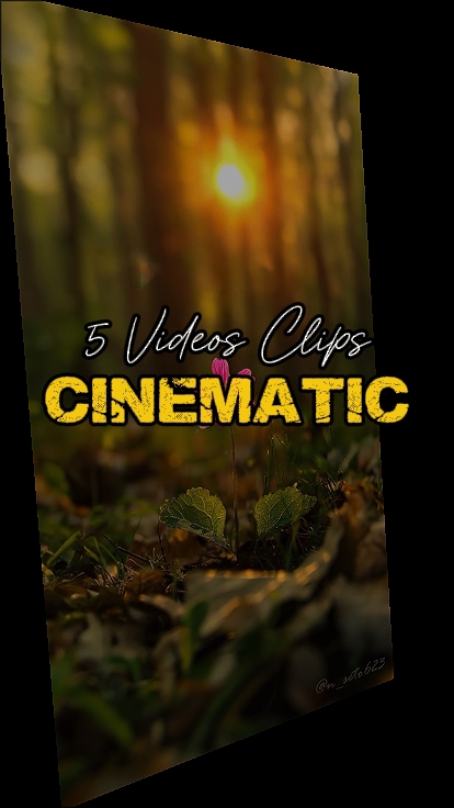 5 Videos Clips