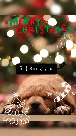 Merry Xmas 🎄