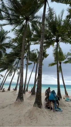 May Sinde - Tropical