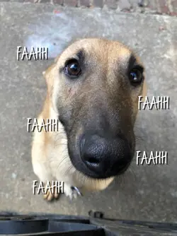 FAAAHHH