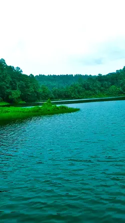 mentahan video