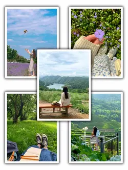 5Pic Aesthetic Frame