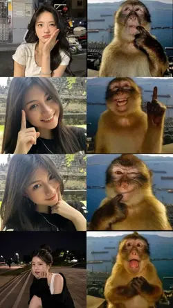 monkey thinking tren