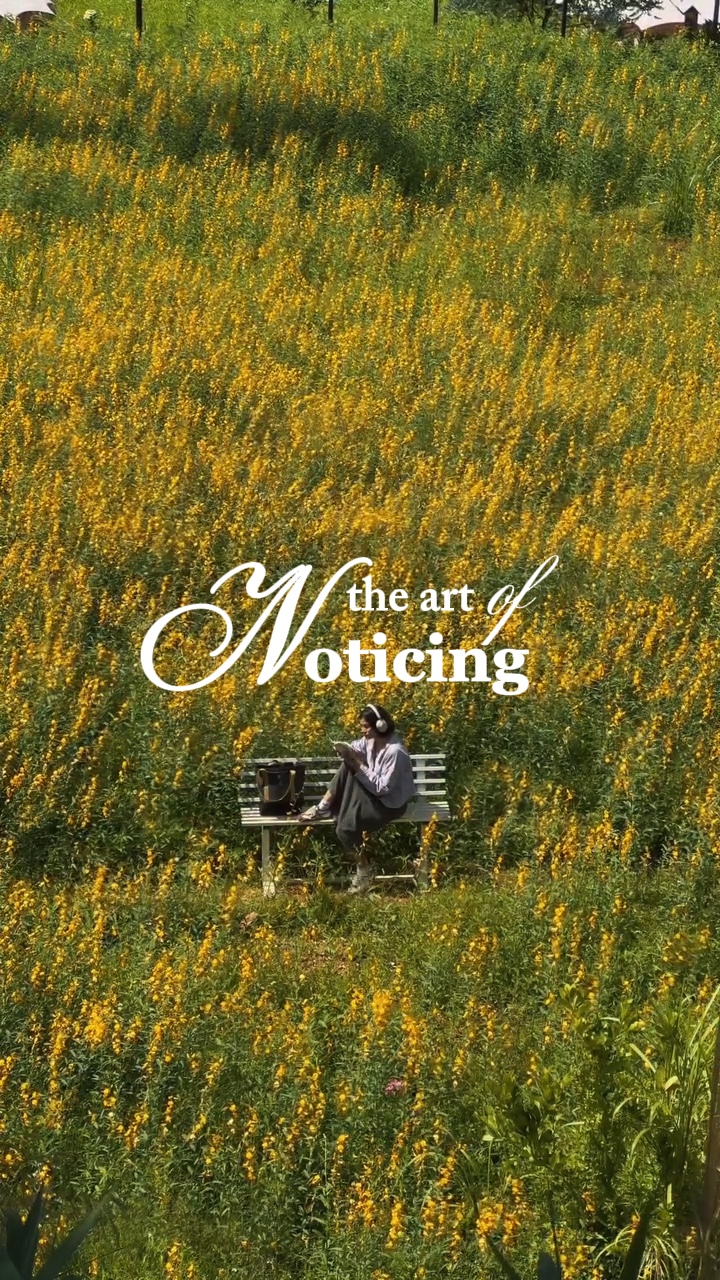 The art of noticing 