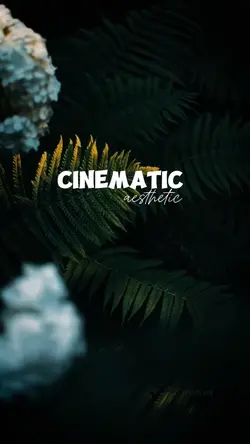 Cinematic aesthetic 