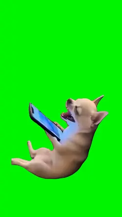 Dog laughing meme