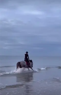 beach fail 😬🌊🐴