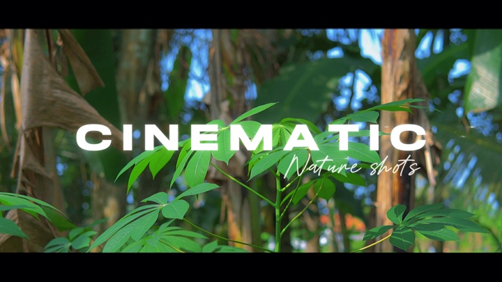 Cinematic 11 Clipes