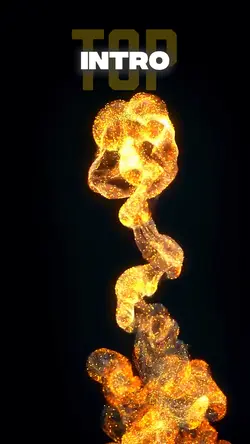 Particlee Intro Top