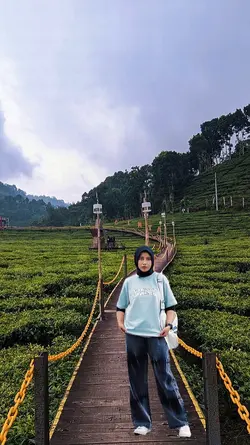 kebun teh