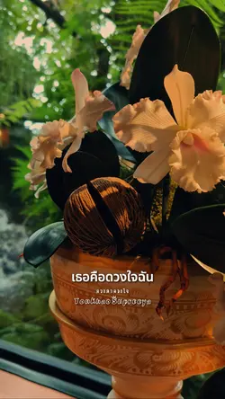 ดวงตาดวงใจ