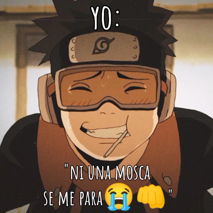 quedó hermosa la pla