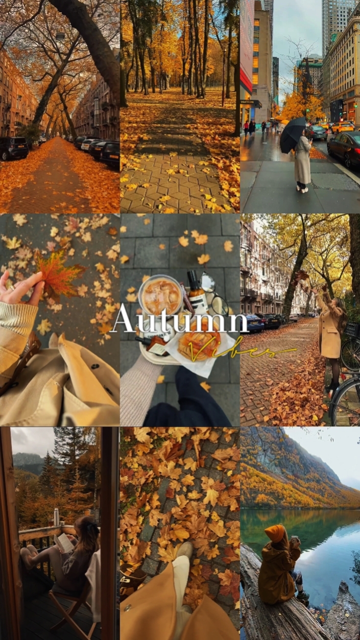 Autumn Vibes