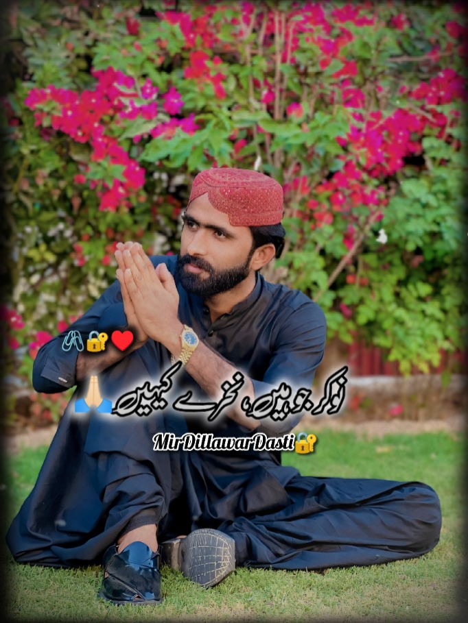 نوکر جو ہیں 