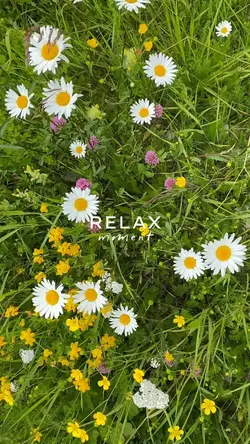 relax moment