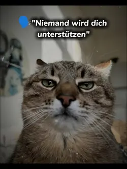 Niemand wird dich un