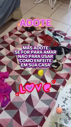 adote um cãozinho