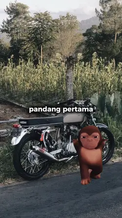 cinematik x monyet 