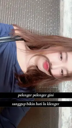 plenger plenger gini