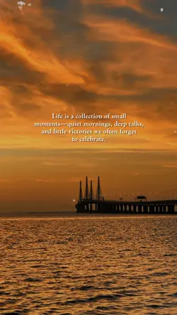 Life Quotes 🤍