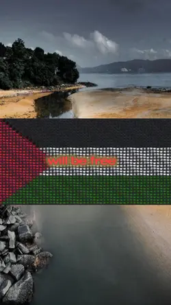 Free Palestine 
