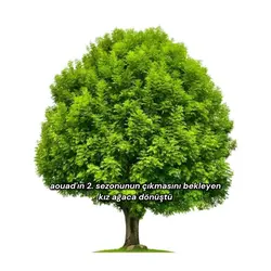 ağaç oldum