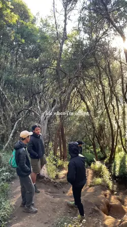 life when im offline